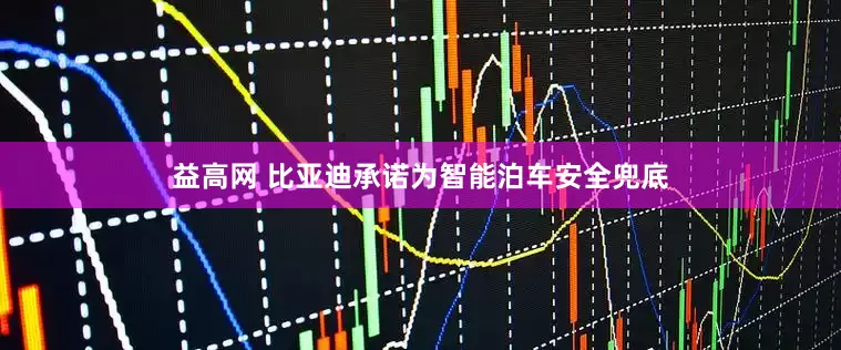 益高网 比亚迪承诺为智能泊车安全兜底